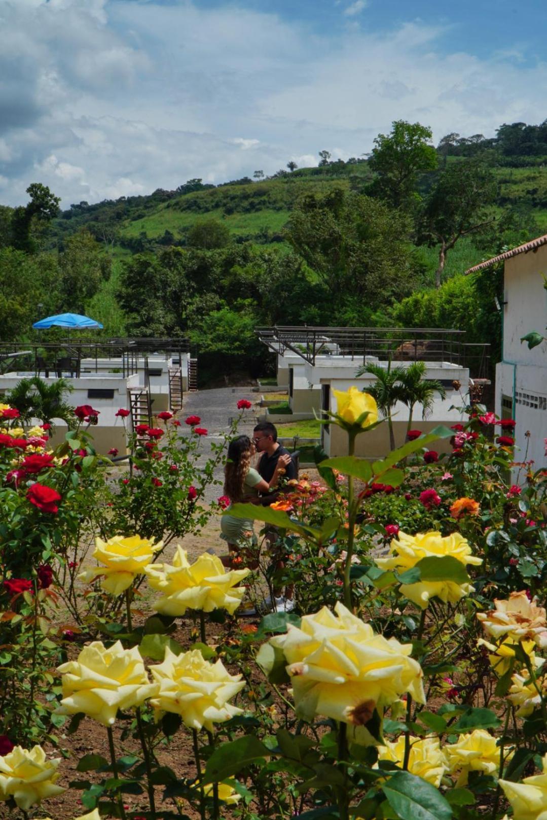 Cielo Abierto Glamping Hotel Valle de San Jose ภายนอก รูปภาพ